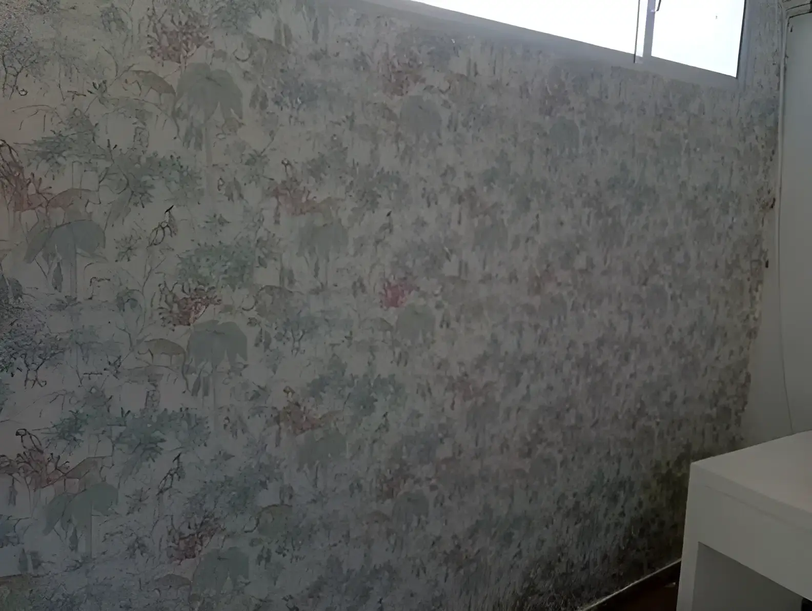 Los Pintores Ávila colocando papel pintado decorativo en pared completa de habitación